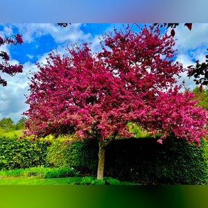 Meet your Posher, Heidi